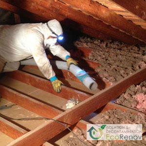 Attic Vermiculite Removal Ahuntsic