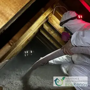 Attic insulation with cellulose, Kirkland