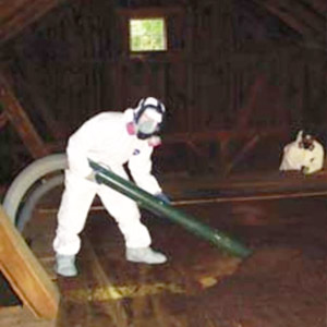 Company for Vermiculite Removal in Attic