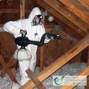 Mold Removal Services, Montreal Laval
