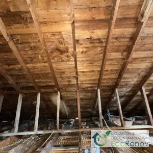 Remove the Insulation in the Attic