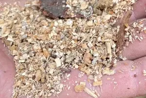 Remove Sawdust in Attic