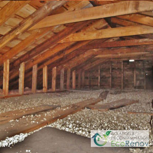 Vermiculite Insulation Removal, Roxboro