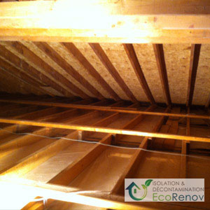 Attic Vermiculite Removal Roxboro