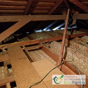 Vermiculite Attic Clean-Up near Saint-Lazare