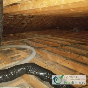 Vermiculite removal attic Pointe-Claire