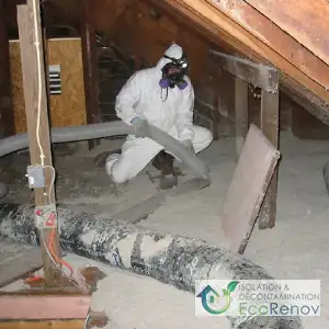 Attic, vermiculite decontamination in Chateauguay