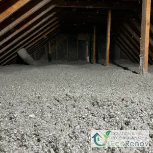 Vermiculite Removal and Setting Cellulose