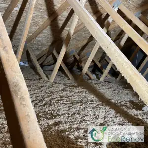 Attic insulation works in Saint-Hilaire