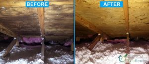 Workers for mold removal in Dorval