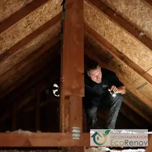 Assessing an attic for insulation, Brossard