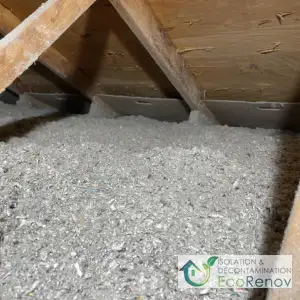 Attic Insulation with Cellulose, DDO