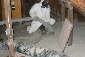 Cellulose Vacuuming in the Attic