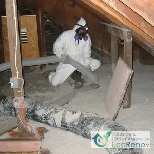 Cellulose Vacuuming in the Attic