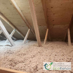 Attic Insulation, Beaconsfield - results of mold remediation