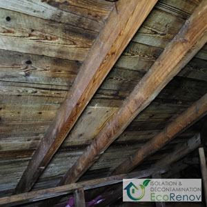 Mansard Roof, Mold Remediation (Step1)