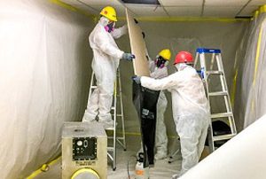 Asbestos Abatement & Asbestos Removal, Longueuil