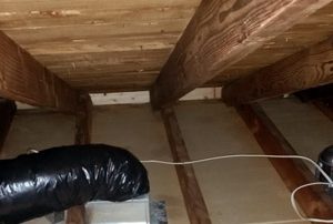 Attic Decontamination, Laval & Montreal