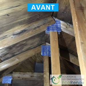 Attic Mold Decontamination, Pierrefonds-Roxboro