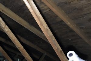 Attic Mold Remediation Cote-Saint-Luc