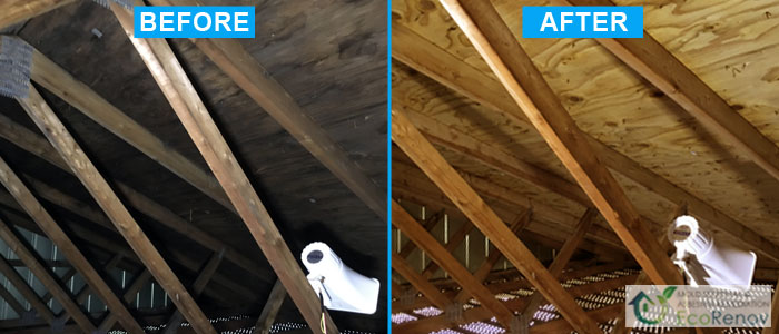 Attic Mold Remediation Cote-Saint-Luc (Before/After)