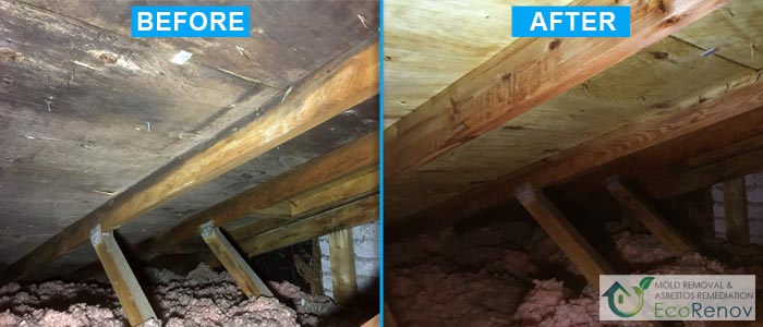 Attic Mold Remediation West-Island (Before/After)