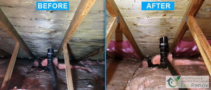 Attic Mold Removal Cote-Saint-Luc (Before/After #10)