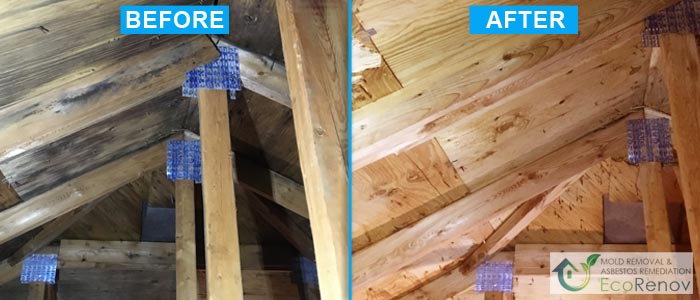 Attic Mold Removal Cote-Saint-Luc (Before/After #7)