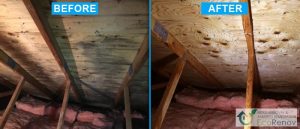 Attic Mold Removal in Laval (Before/After #8)