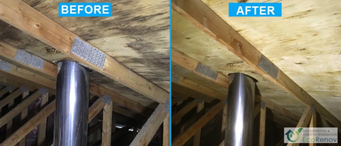 Attic Mold Removal, Longueuil (Before/After)