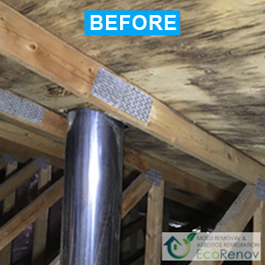 Attic Mold Removal in Longueuil, Mold Problems