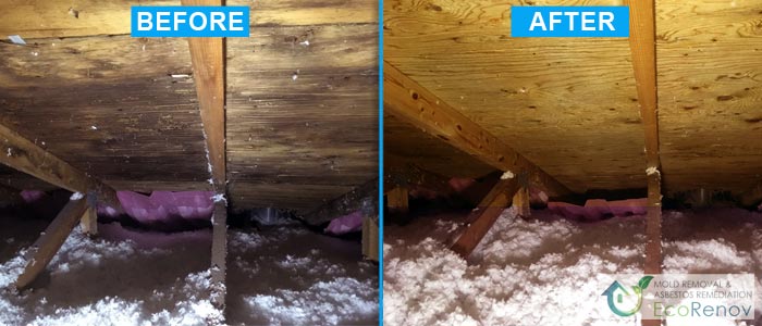 Attic Mold Removal in Montreal (Before/After #5)