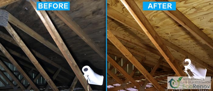 Attic Mold Removal in Montreal (Before/After #6)