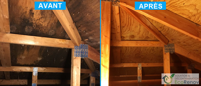 Attic Mold Removal Pierrefonds-Roxboro (Before/After #4)