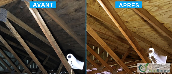 Attic Mold Removal Pierrefonds-Roxboro (Before/After #5)