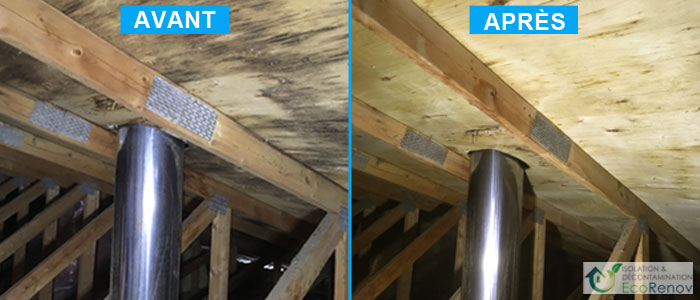 Attic Mold Removal Pierrefonds-Roxboro (Before/After #6)
