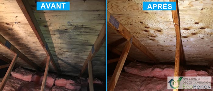 Attic Mold Removal Pierrefonds-Roxboro (Before/After #8)