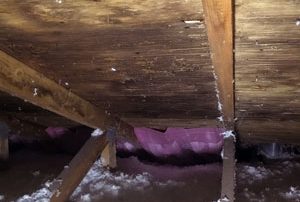 Attic Mold Decontamination, Ville Saint-Laurent