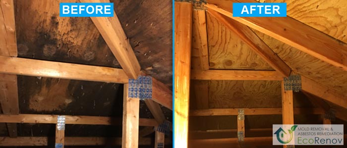 Attic Mold Removal Saint-Laurent (Before/After #5)