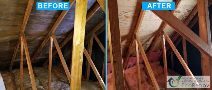 Attic Mold Removal Saint-Laurent (Before/After #9)