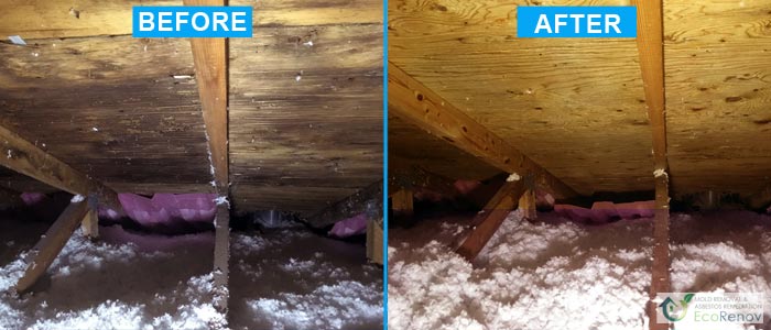Attic Mold Removal Saint-Laurent (Before/After)