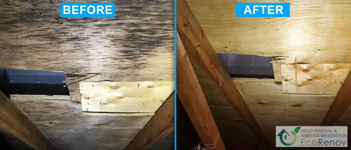 Attic Mold Removal West-Island (Before/After #3)