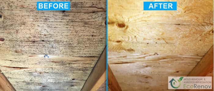 Attic Mold Removal West-Island (Before/After #4)