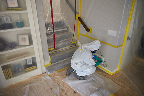 Basement decontamination work, Montreal & Laval (2)