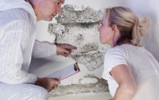 Mold Inspection, Mold Testing, Mold Removal and Mold Certification services