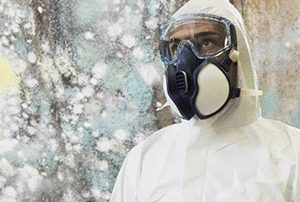 Mold Removal, Montreal Laval
