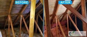 Mold Removal, Blainville (Before/After #9)