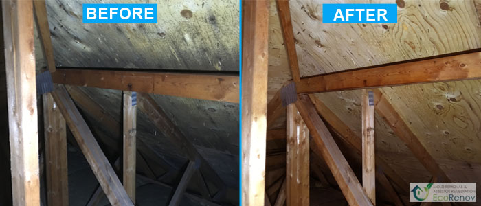 Attic decontamination & cleaning (Mold Removal, Montreal - Before/After)