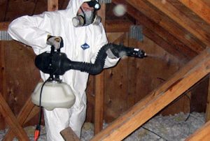 Mold Removal & Mold Remeditation