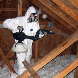 Mold Removal & Mold Remeditation